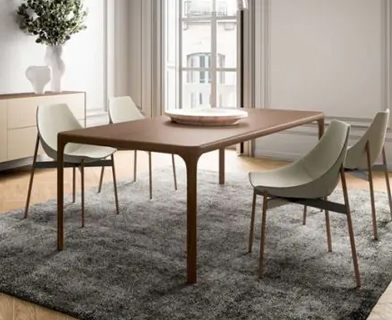 Dining Chairs