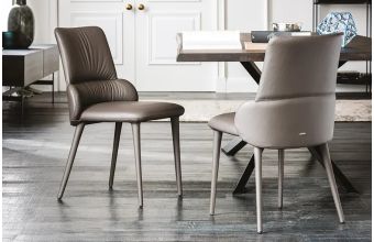Ginger Dining Chair