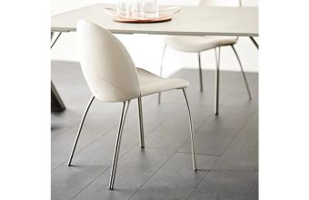 Holly Dining Chair