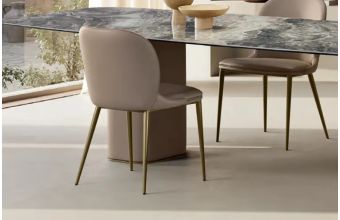 Medea Dining Chair Quickship