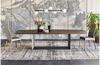 Dragon Wood Dining Table